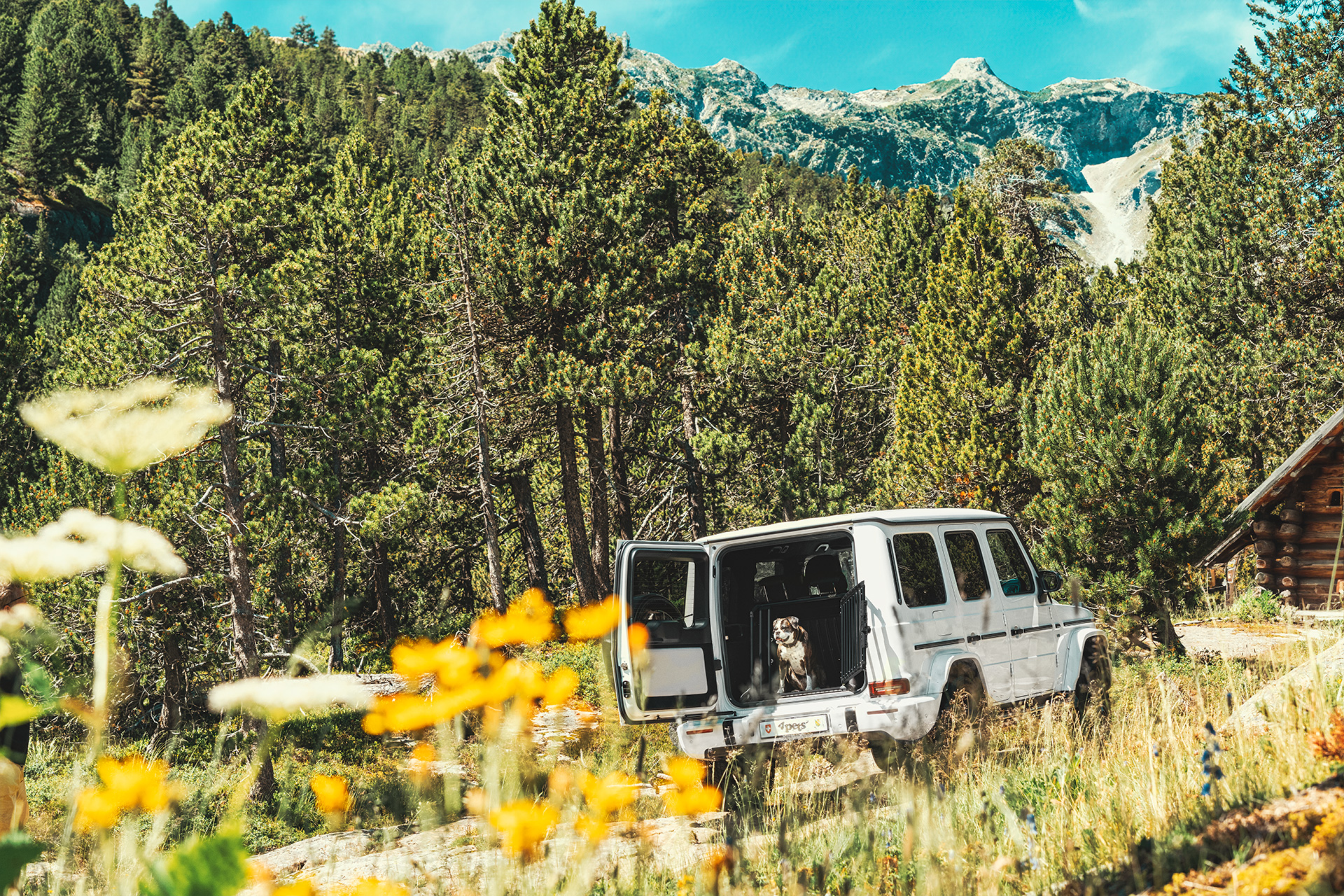 4pets PRO NOIR 1 Small